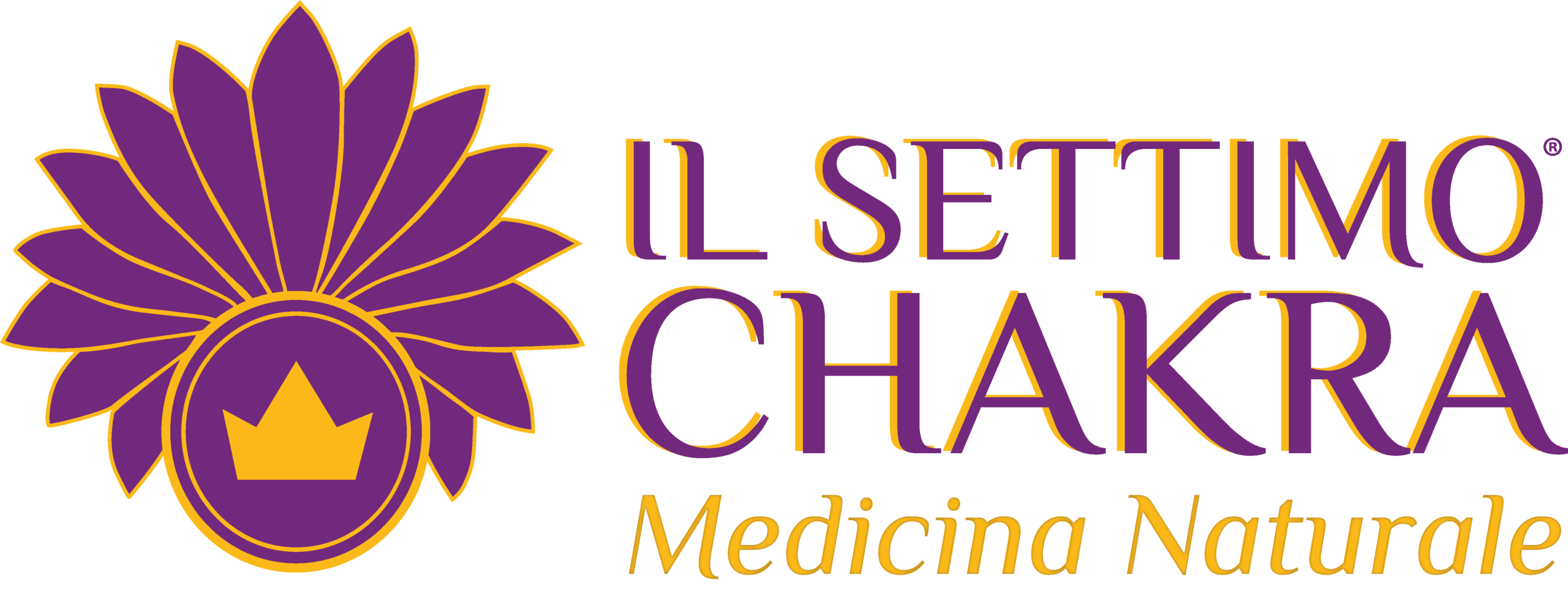 Il Settimo Chakra
